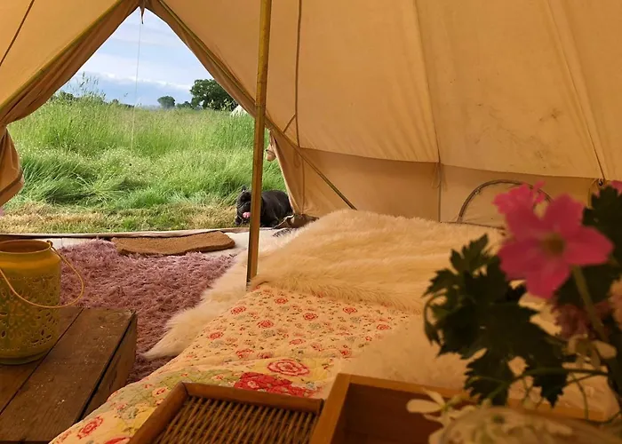 Bluebell Bell Tent In The Broads National Park