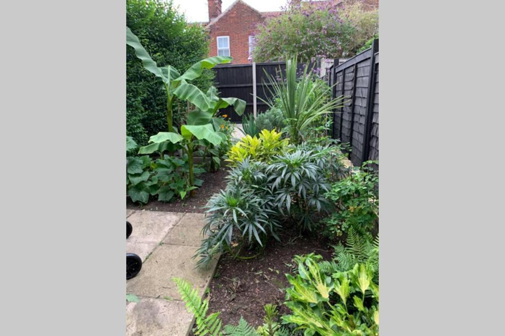 Beautiful Two Bed Victorian Terrace House Holiday home Norwich