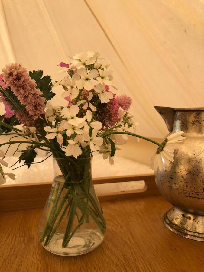 Bluebell Bell Tent In The Broads National Park Holiday home