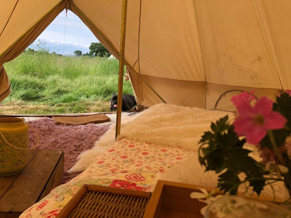 Bluebell Bell Tent In The Broads National Park Holiday home *