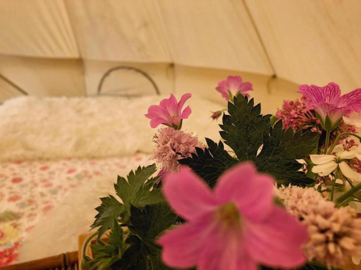 Bluebell Bell Tent In The Broads National Park *
