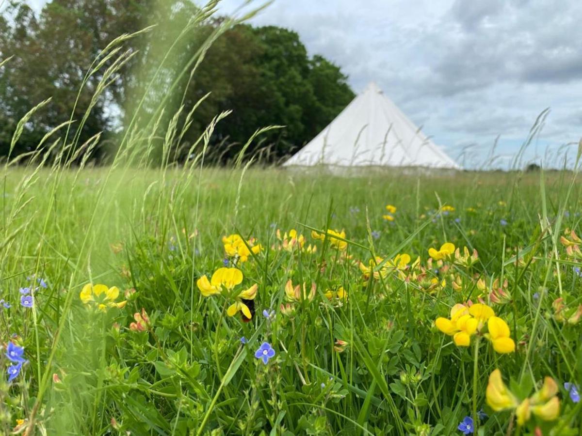 Bluebell Bell Tent In The Broads National Park