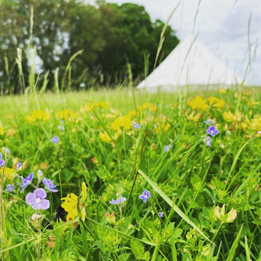 Bluebell Bell Tent In The Broads National Park Holiday home *