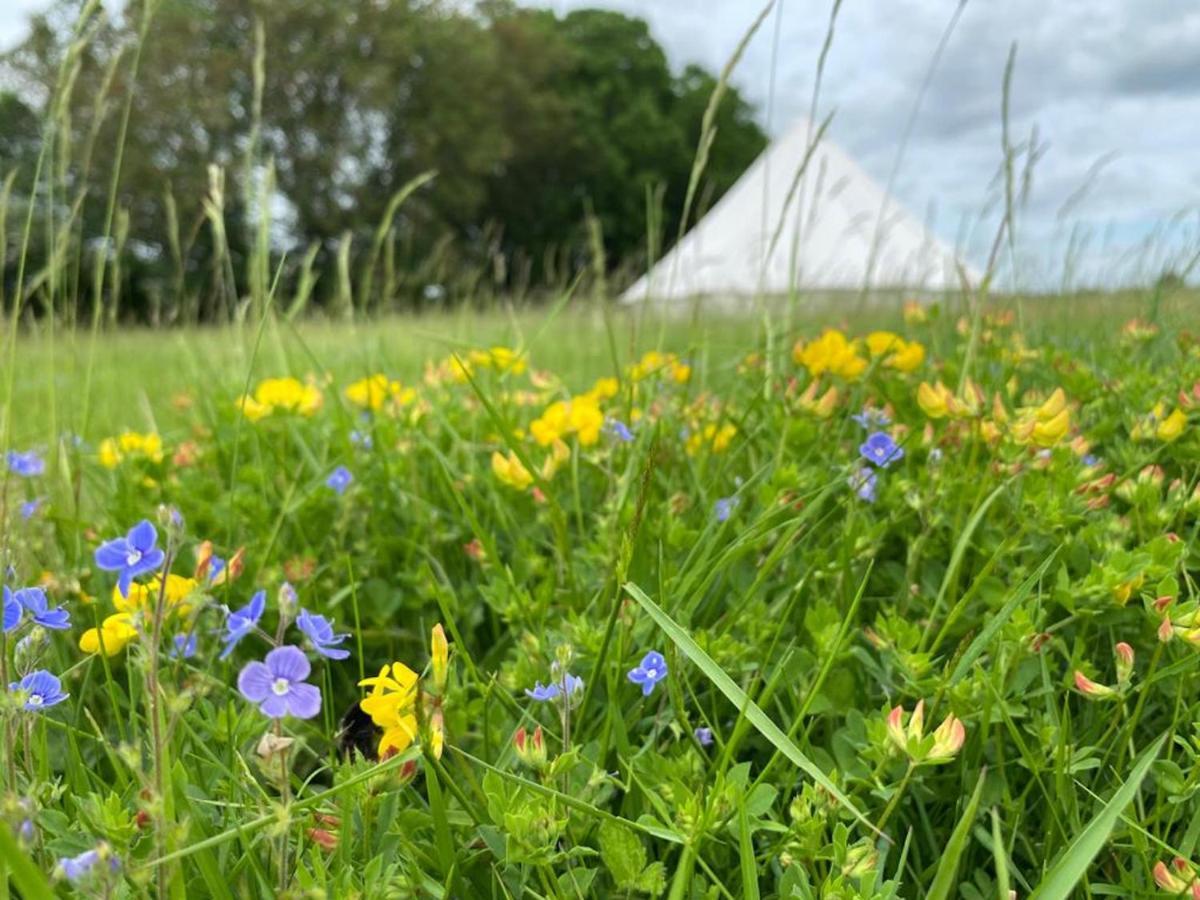 Bluebell Bell Tent In The Broads National Park Norwich