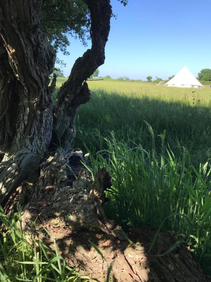 Bluebell Bell Tent In The Broads National Park Holiday home Norwich