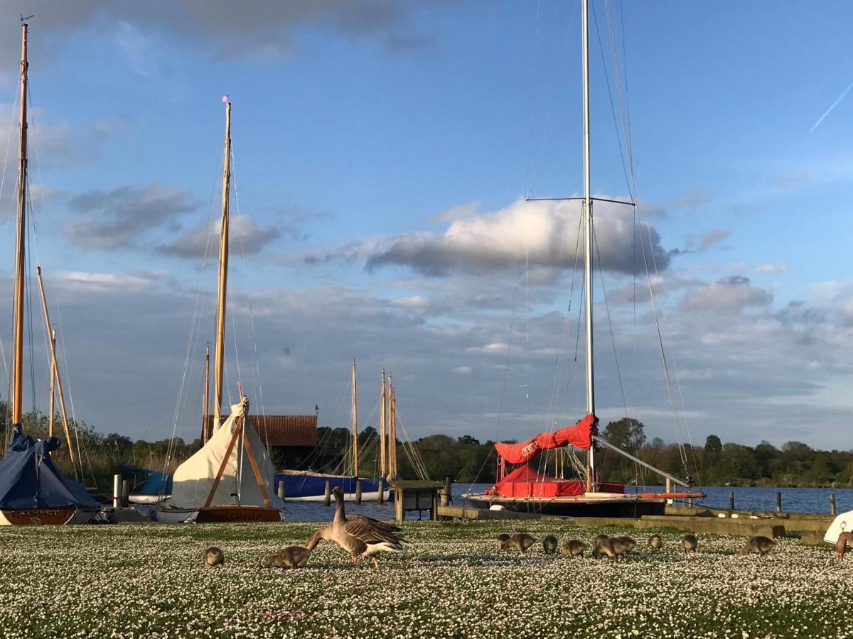 Bluebell Bell Tent In The Broads National Park Holiday home *