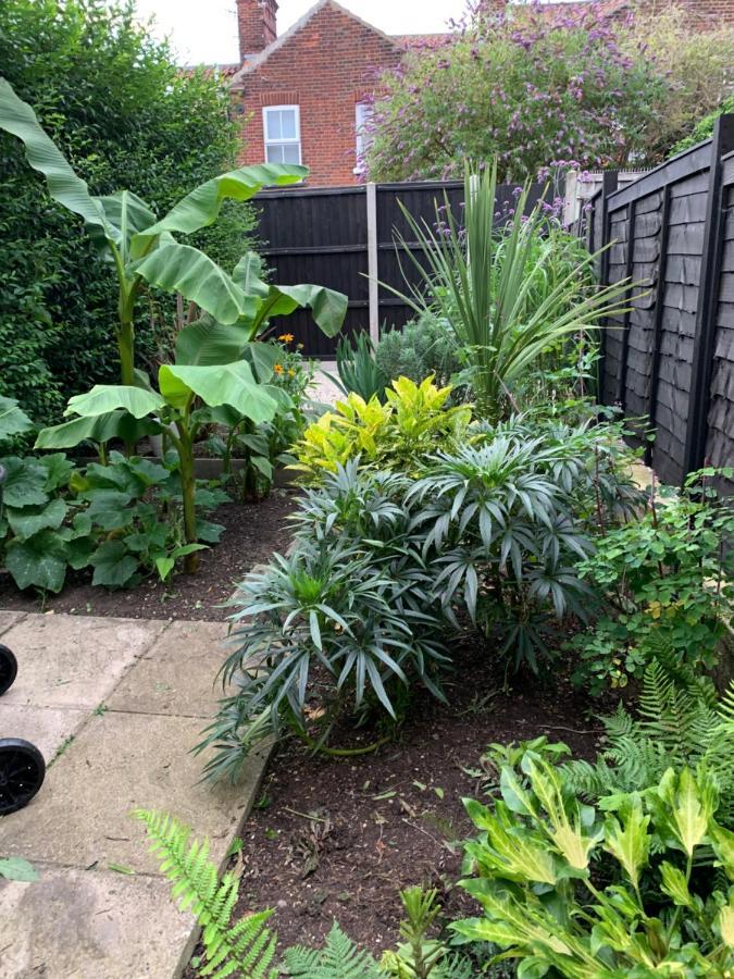 Beautiful Two Bed Victorian Terrace House * Norwich
