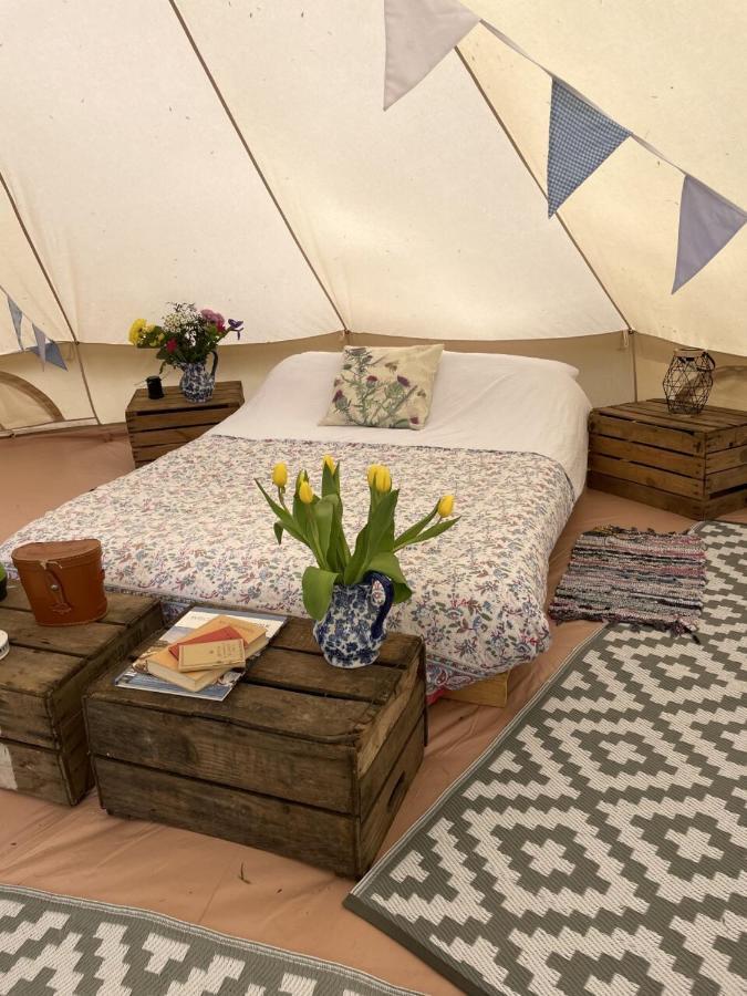 Willow Glamping * Norwich