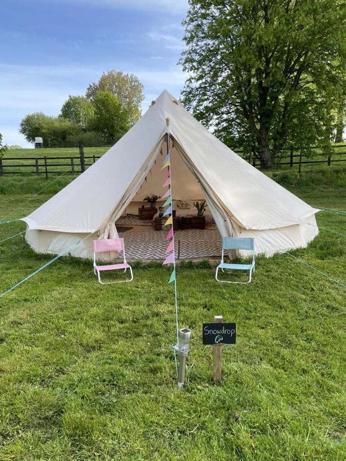 Willow Glamping * Norwich