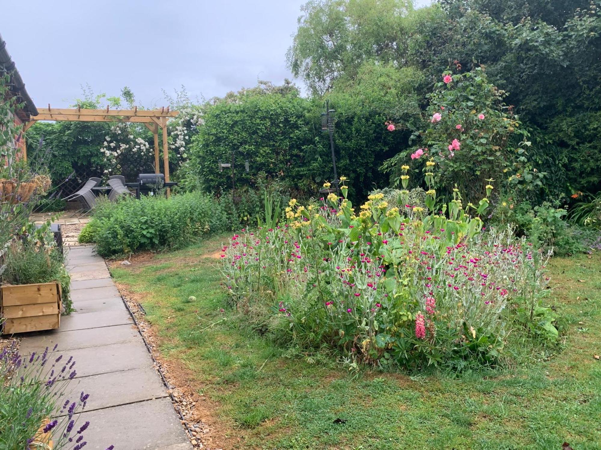& On A Real Norfolk Vineyard Holiday home *