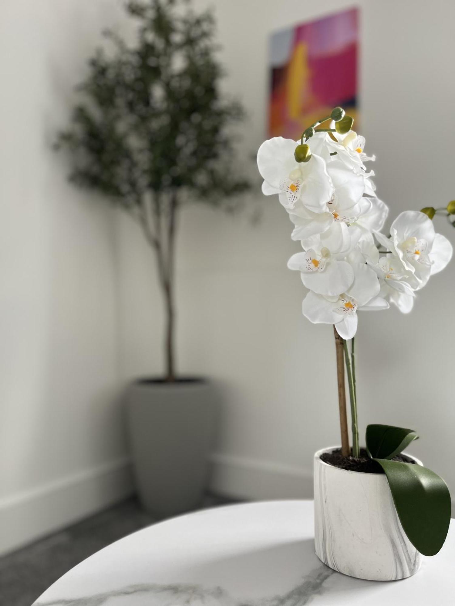 Luxury Centre - Free Parking * Norwich