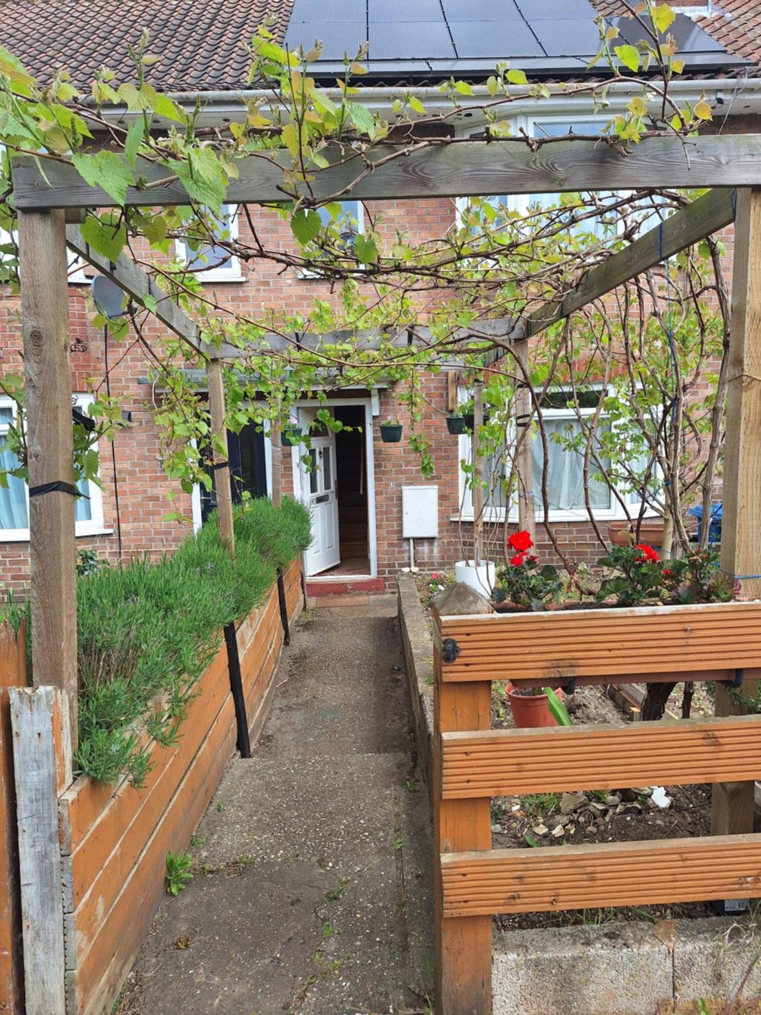 Guest house Grapevine Norwich